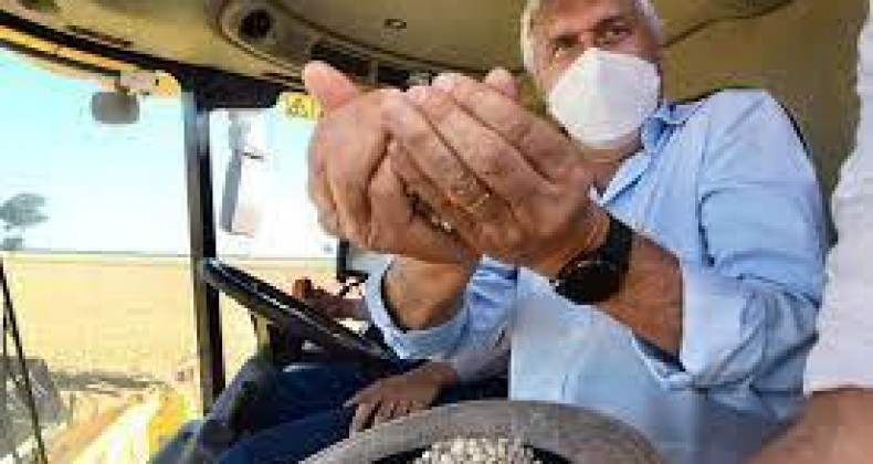 Caiado abre colheita da safra de feijão irrigado do Vale do Araguaia