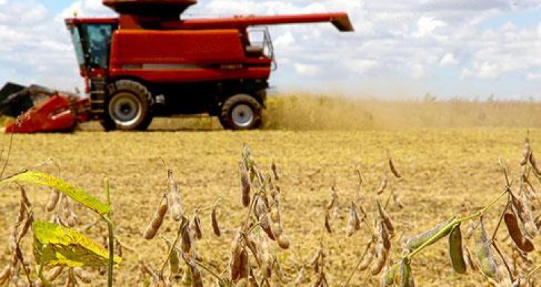 A quarta estimativa de safra 2021 aponta área recorde de grãos em Goiás